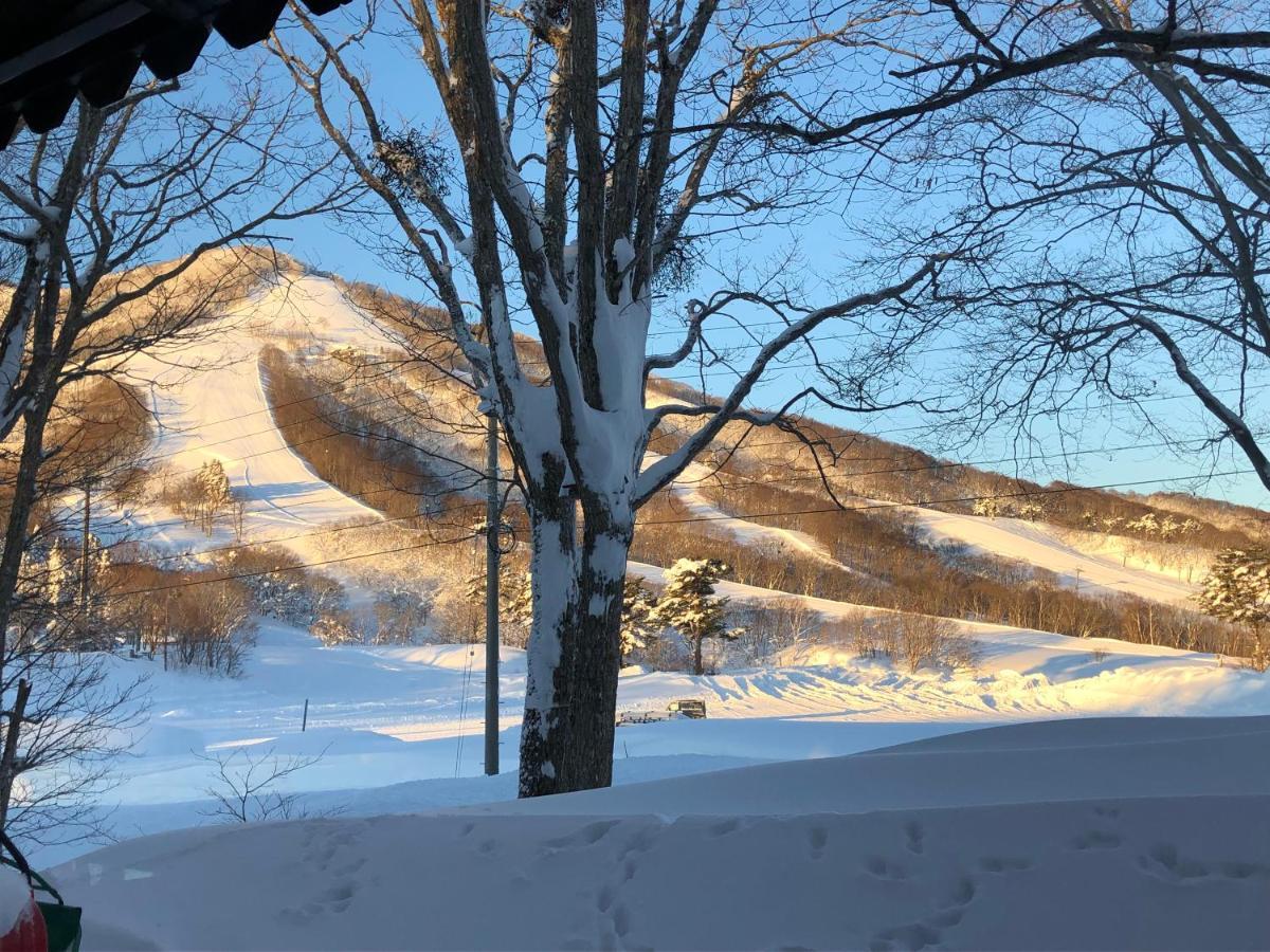 فيلا Alp Bach Madarao Iiyama المظهر الخارجي الصورة