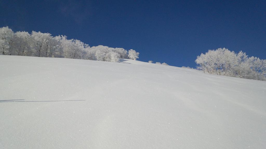 فيلا Alp Bach Madarao Iiyama المظهر الخارجي الصورة