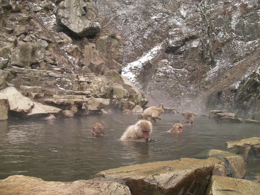 فيلا Alp Bach Madarao Iiyama المظهر الخارجي الصورة